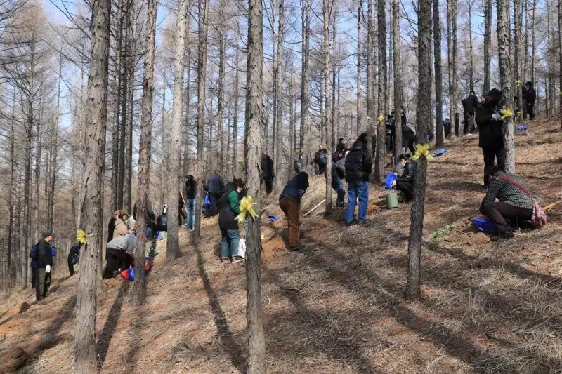 辽源市公益树葬纪念园第36届树葬仪式侧记