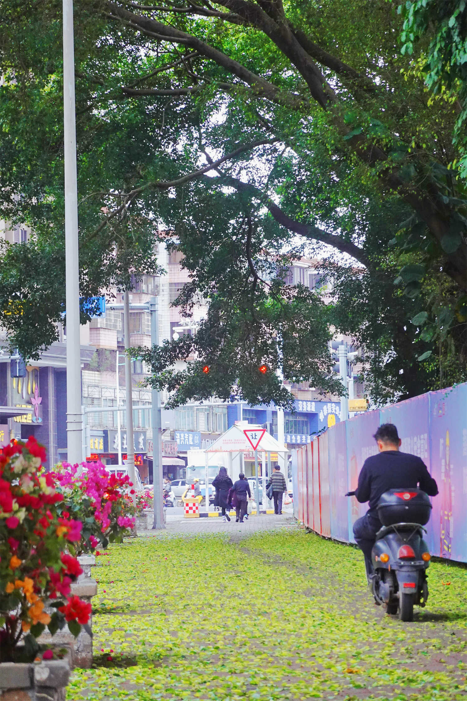如果来清溪，一定要到这里看一看