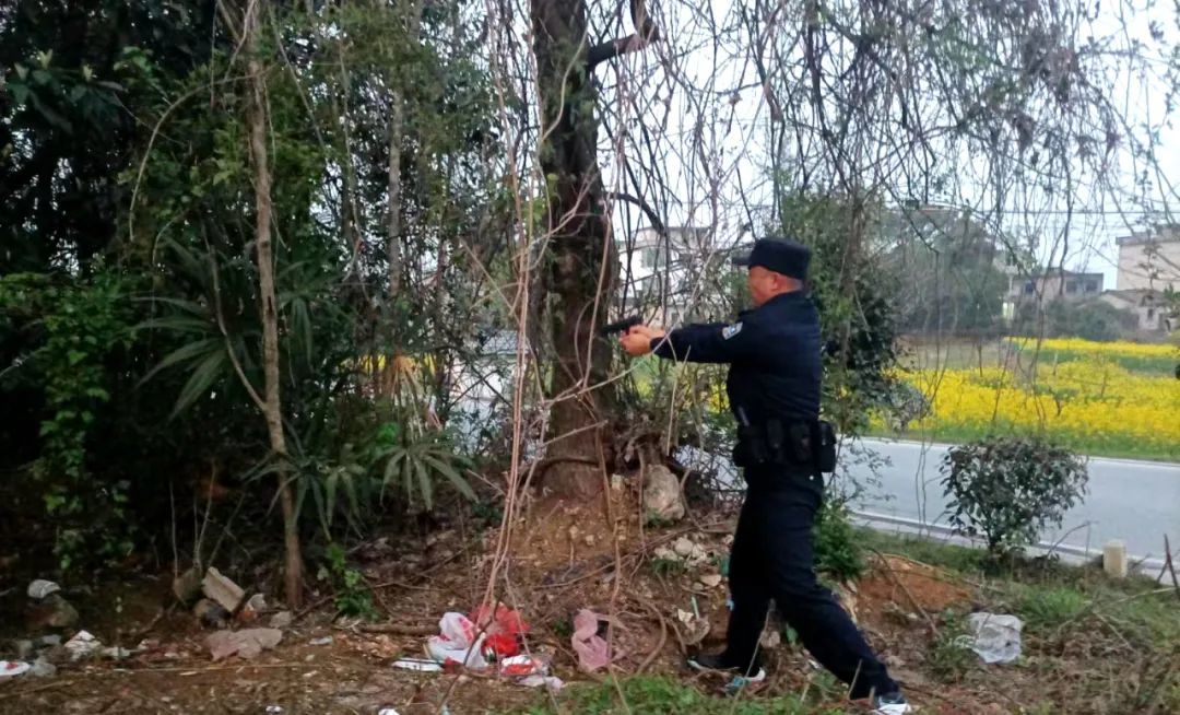 江西一地出现疯狗，警方一枪击毙 提醒：不要擅自攻击凤凰网江西_凤凰网