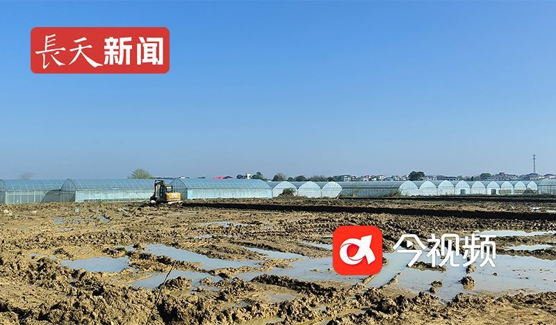 大观村扶贫产业大棚外的农田正在进行高标准改造