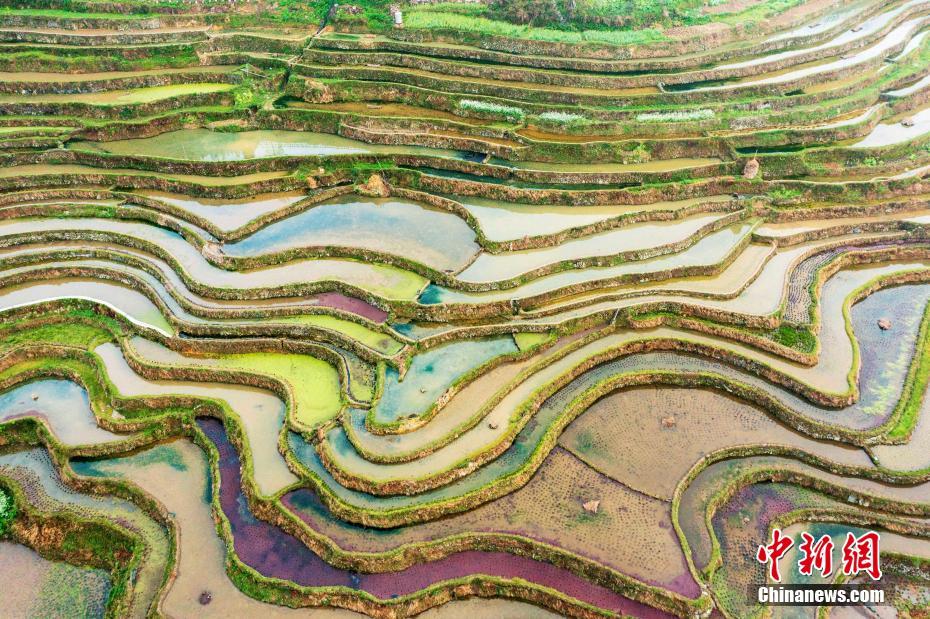 贵州从江梯田宛如水墨画卷