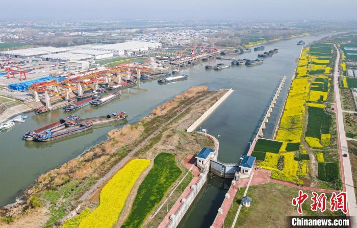 空中俯瞰油菜花映衬下的漯河港。　(无人机照片) 杨光 摄