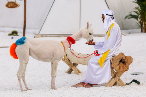 当“塞上江南”遇见“北非风情” 黄陂区木兰草原民宿上新啦！