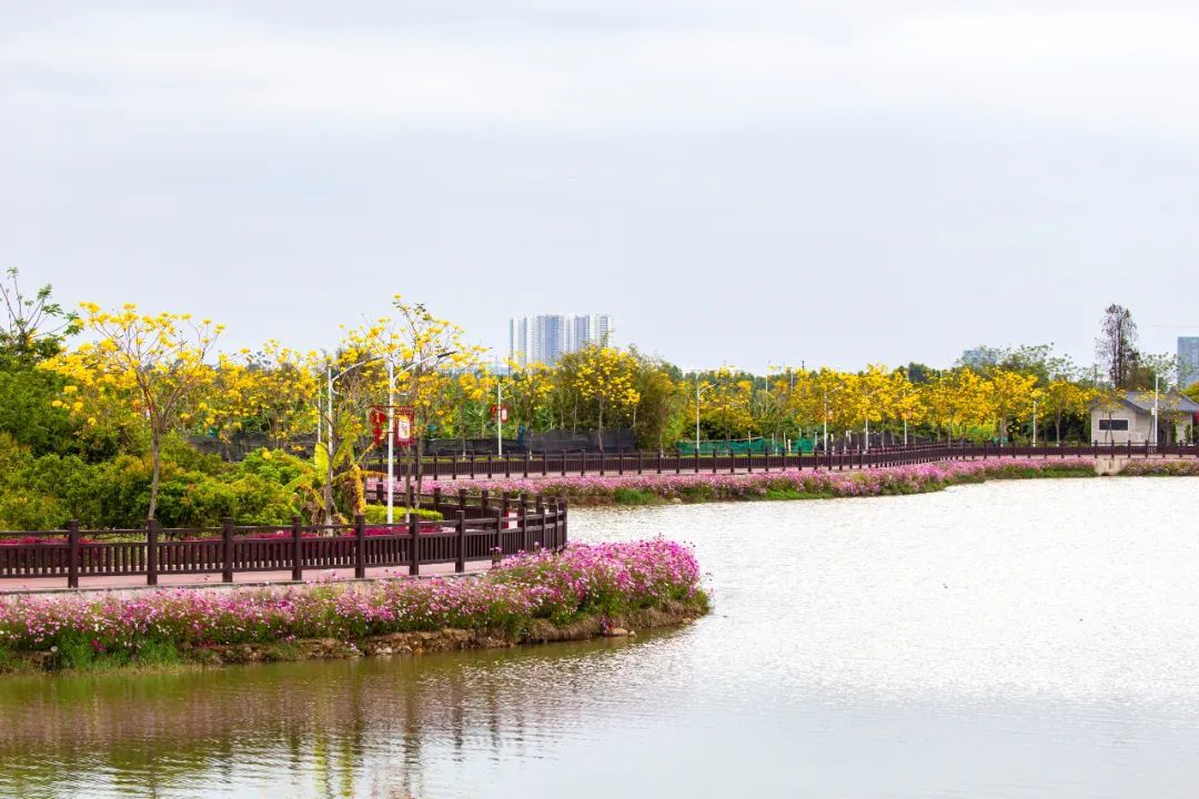 又添麻涌谢岗2镇东莞已有14镇获评广东省园林城镇