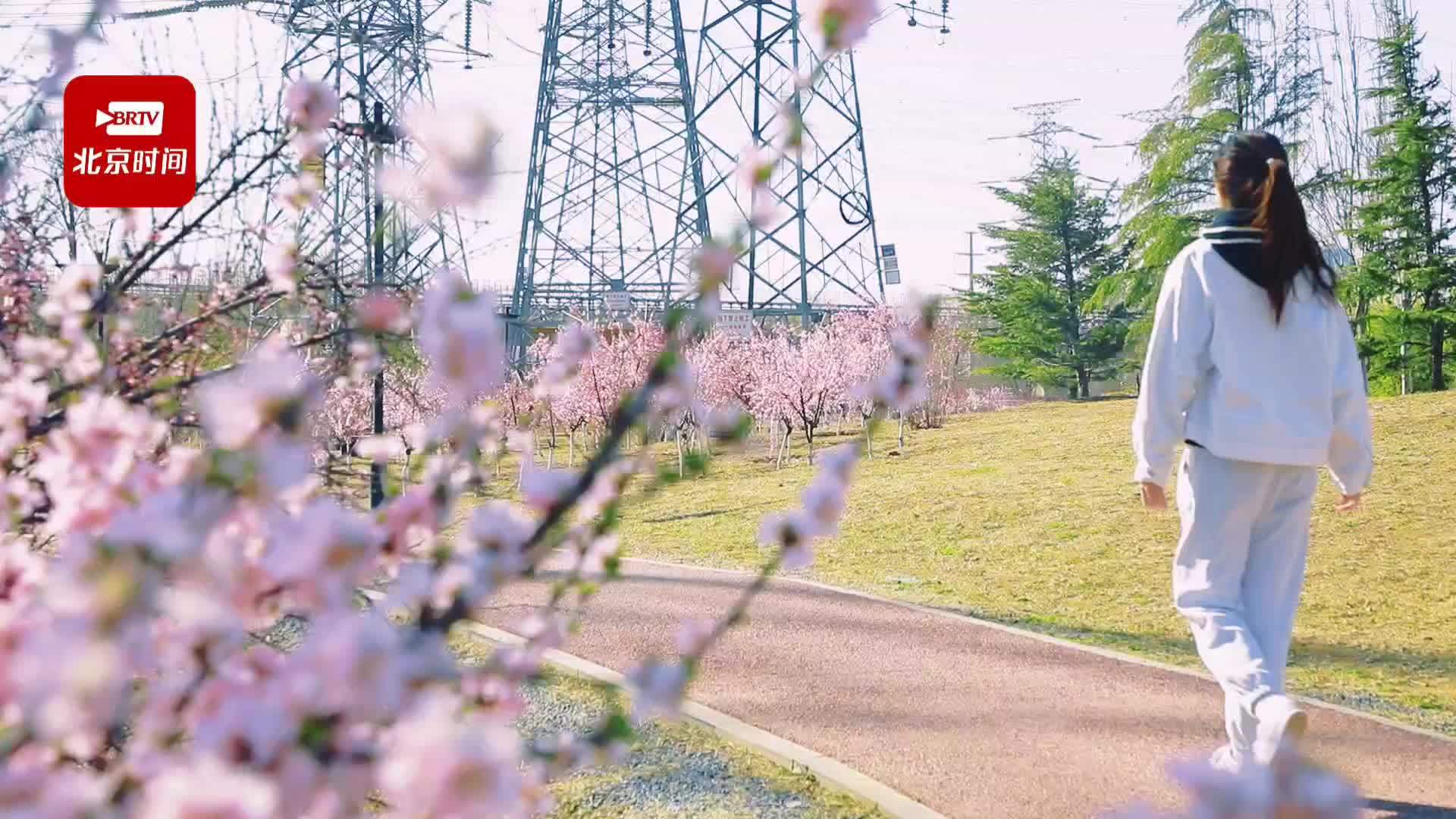 永定河边的公园图片