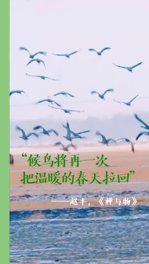 假日书房｜赵丰：候鸟将再一次把温暖的春天拉回