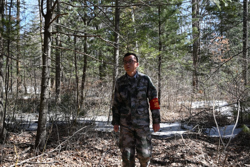 松江河林业有限公司巡护员赵晓旭在林中巡护。新华社记者宋心平 摄