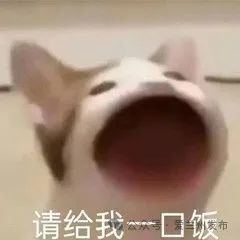 吃遍碳水王国是种啥体验?兰州美食把人香yong了