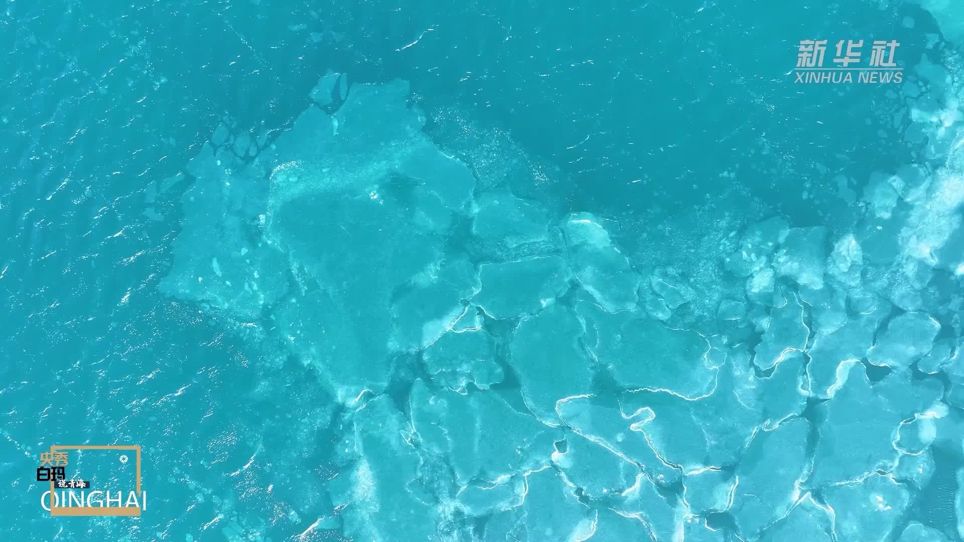 央秀白玛说青海｜牧人的草原诗人的海