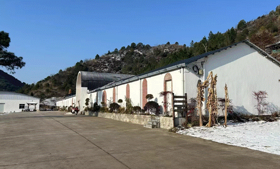 景德镇三哥柴窑外景