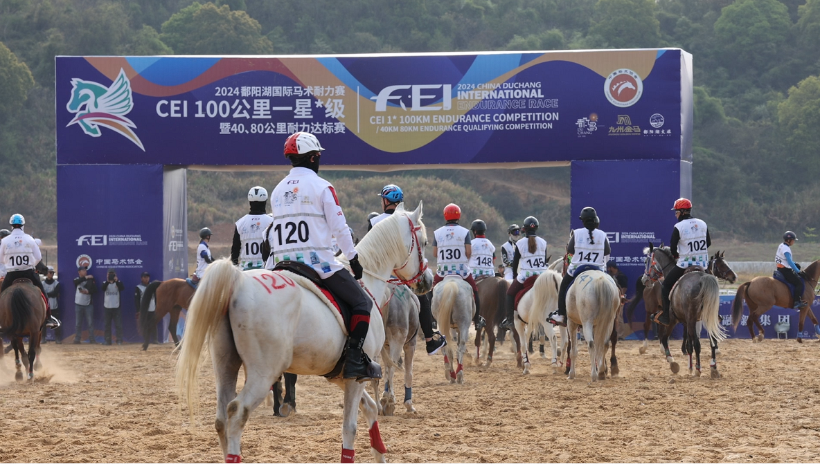 fei2024鄱阳湖马术耐力赛cei1100公里暨4080公里耐力达标赛在都昌县