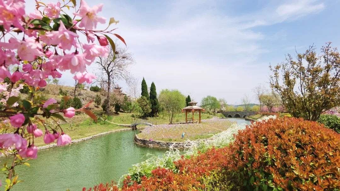 人气爆棚！清明假期，数万人涌向睢宁这里……