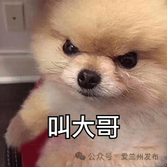 吃遍碳水王国是种啥体验?兰州美食把人香yong了