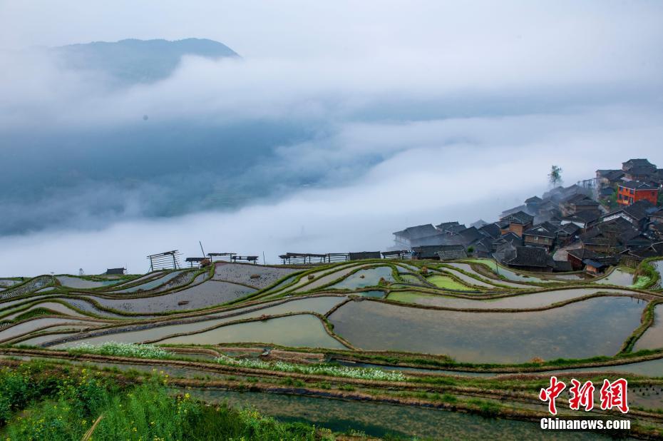 贵州从江梯田宛如水墨画卷