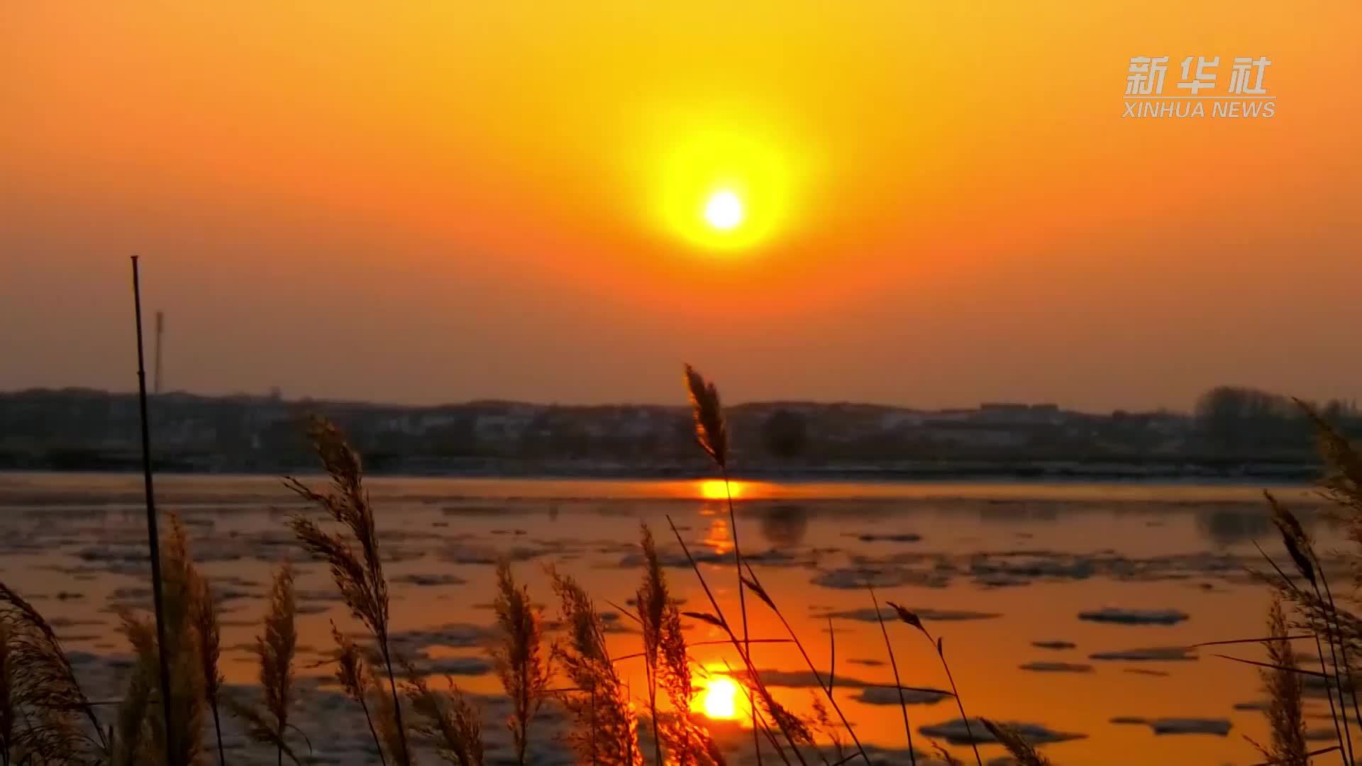 千城胜景|开河鱼“鲜”迎客来