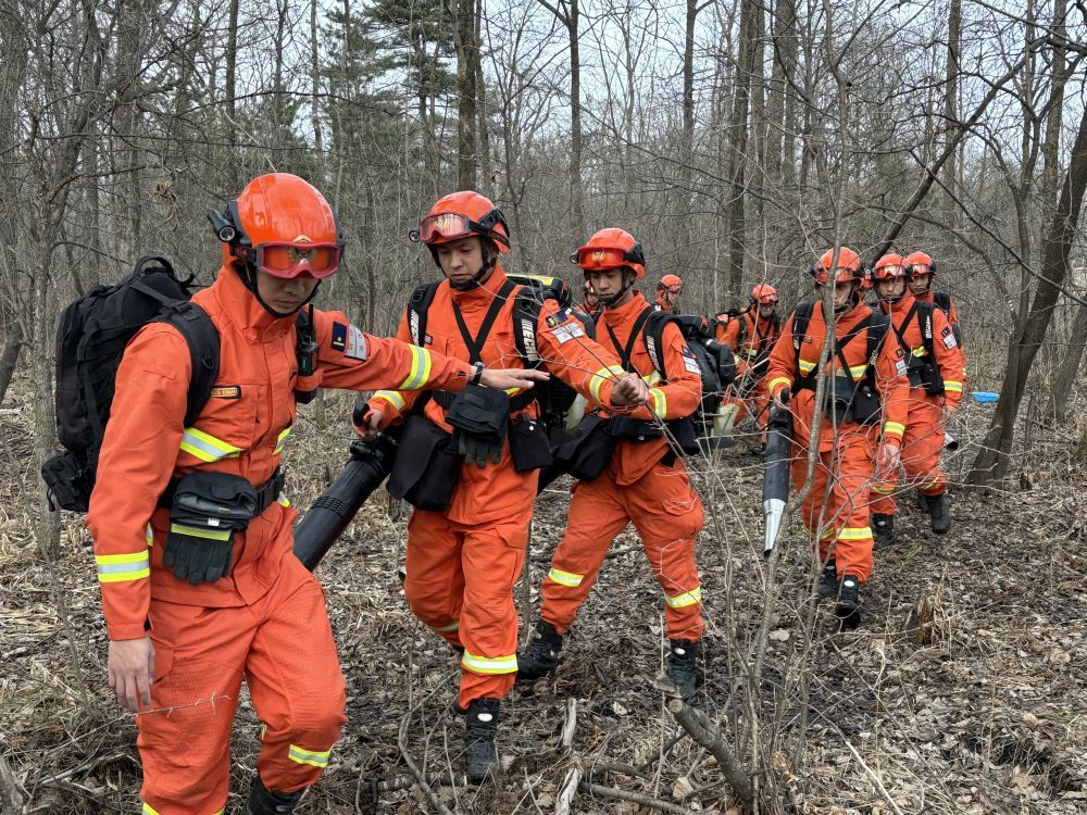 白山市森林消防支队长白山池西区大队队员在林中巡护。新华社记者胡戈 摄
