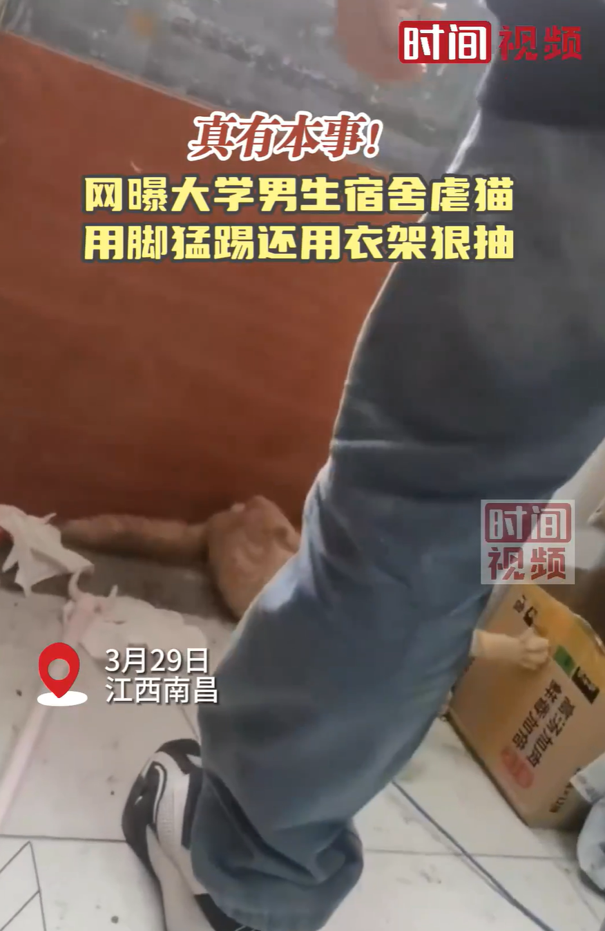 男生在宿舍“长期虐猫”？江西师范大学通报：连夜成立调查组