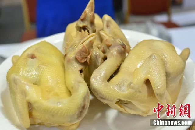 图为文昌鸡。洪坚鹏 摄