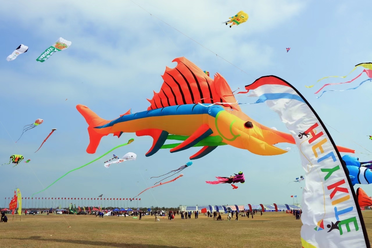 面朝大海 千只风筝争奇斗艳——2024潍坊风筝大赛在潍坊滨海开赛