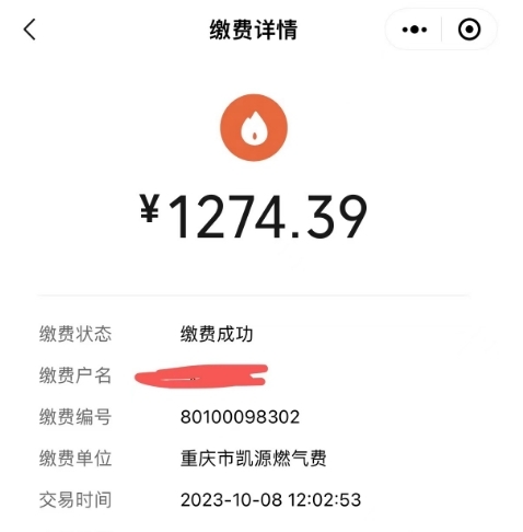 重庆两江新区市民B提供的燃气费用缴纳记录截图