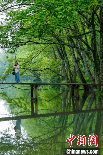 安徽黄山生态旅游春意盎然