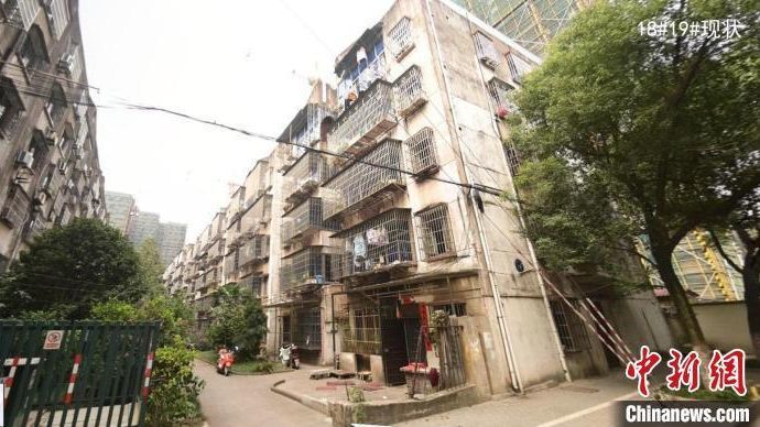 浙江推动“更新”老旧小区 探索美好生活与情感寄托“最优解”_凤凰网