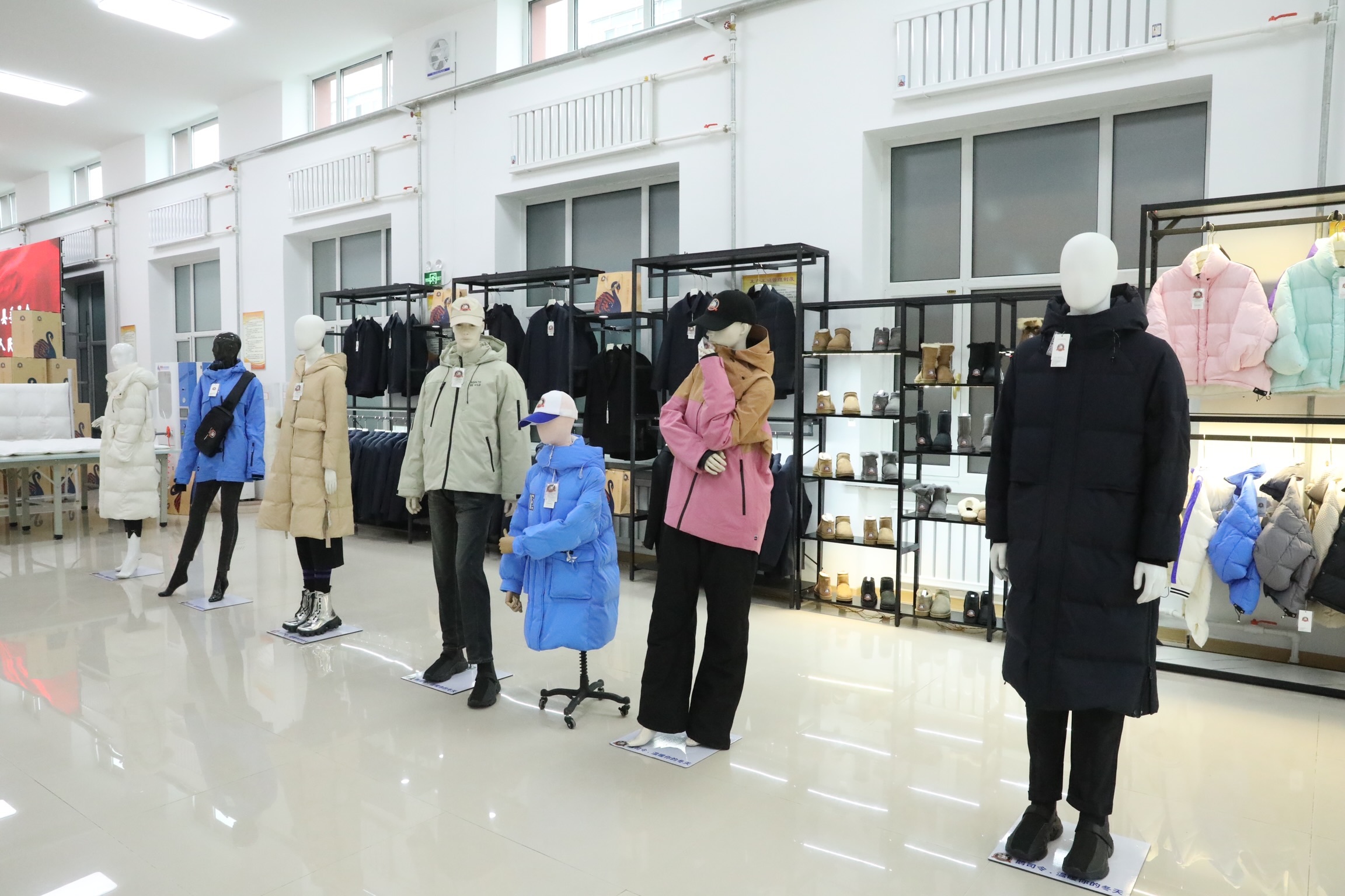 黑龙江鹅司令:做好"十个一" 做强羽绒产业