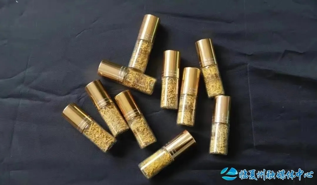 十省联动共扬国色美名　河州牡丹代表甘肃出战