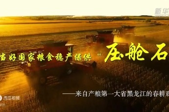 当好国家粮食稳产保供“压舱石”——来自产粮第一大省黑龙江的春耕观察