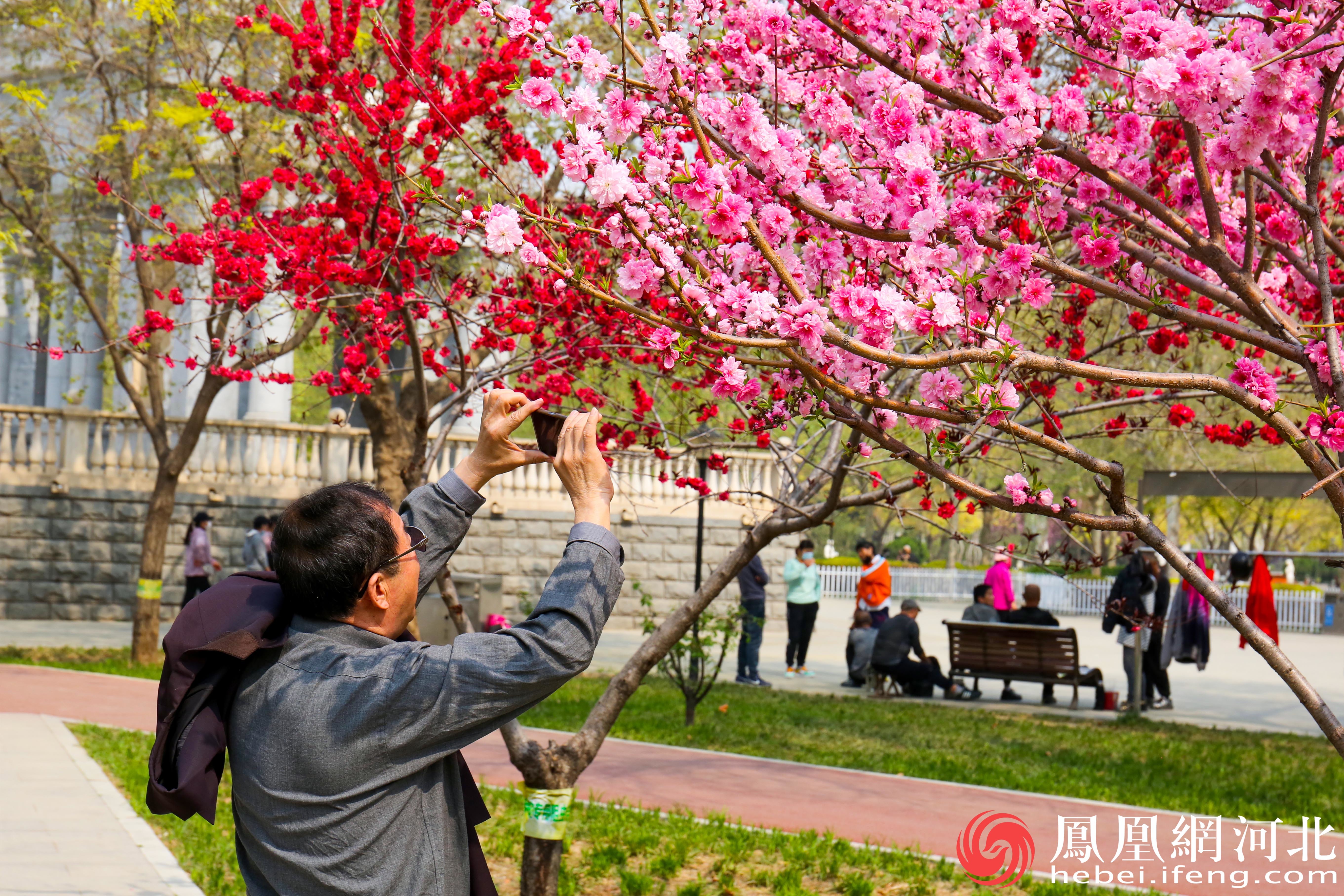 在欧韵公园里，老人用手机记录下了花朵的美丽，也记录下了自己与大自然的亲密接触。