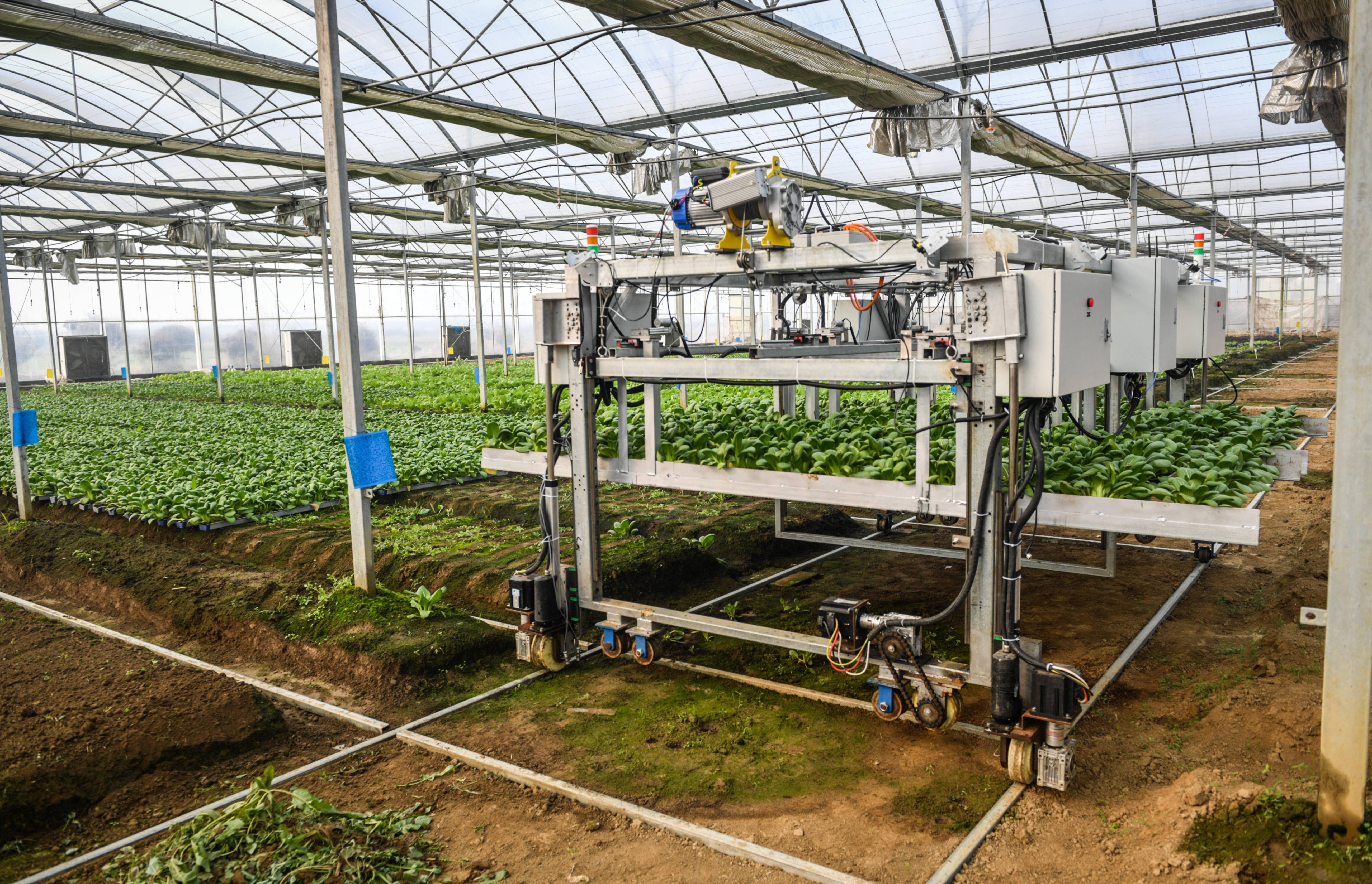 南京农业数字化工作再升级,推动农业农村高质量发展