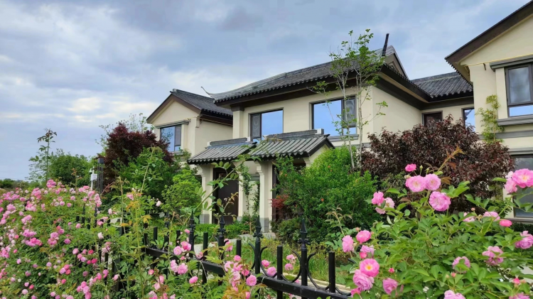 西安市高陵区张家村连续第5年给村民"分红"