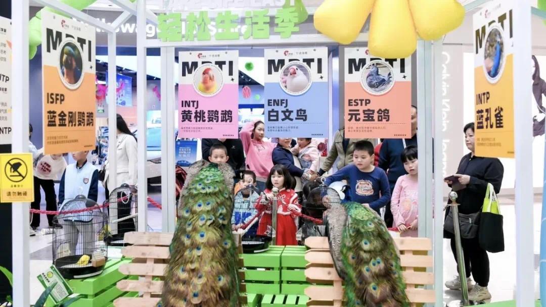 在假期商超促销带动下,服装,鞋帽分别实现销售额3548.82万元和1282.