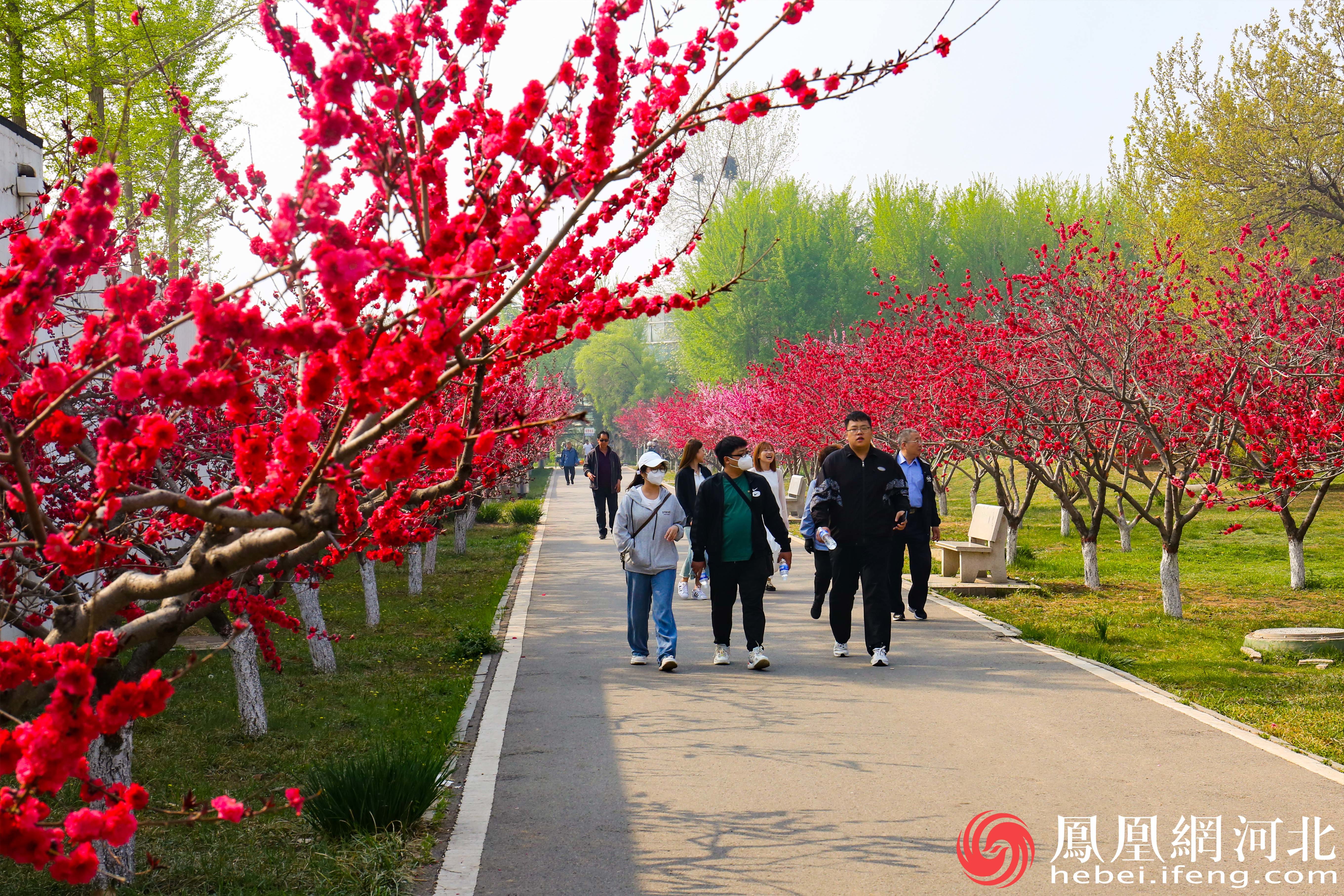市民们悠闲地走在植物园的长廊里，感受着春天的气息。