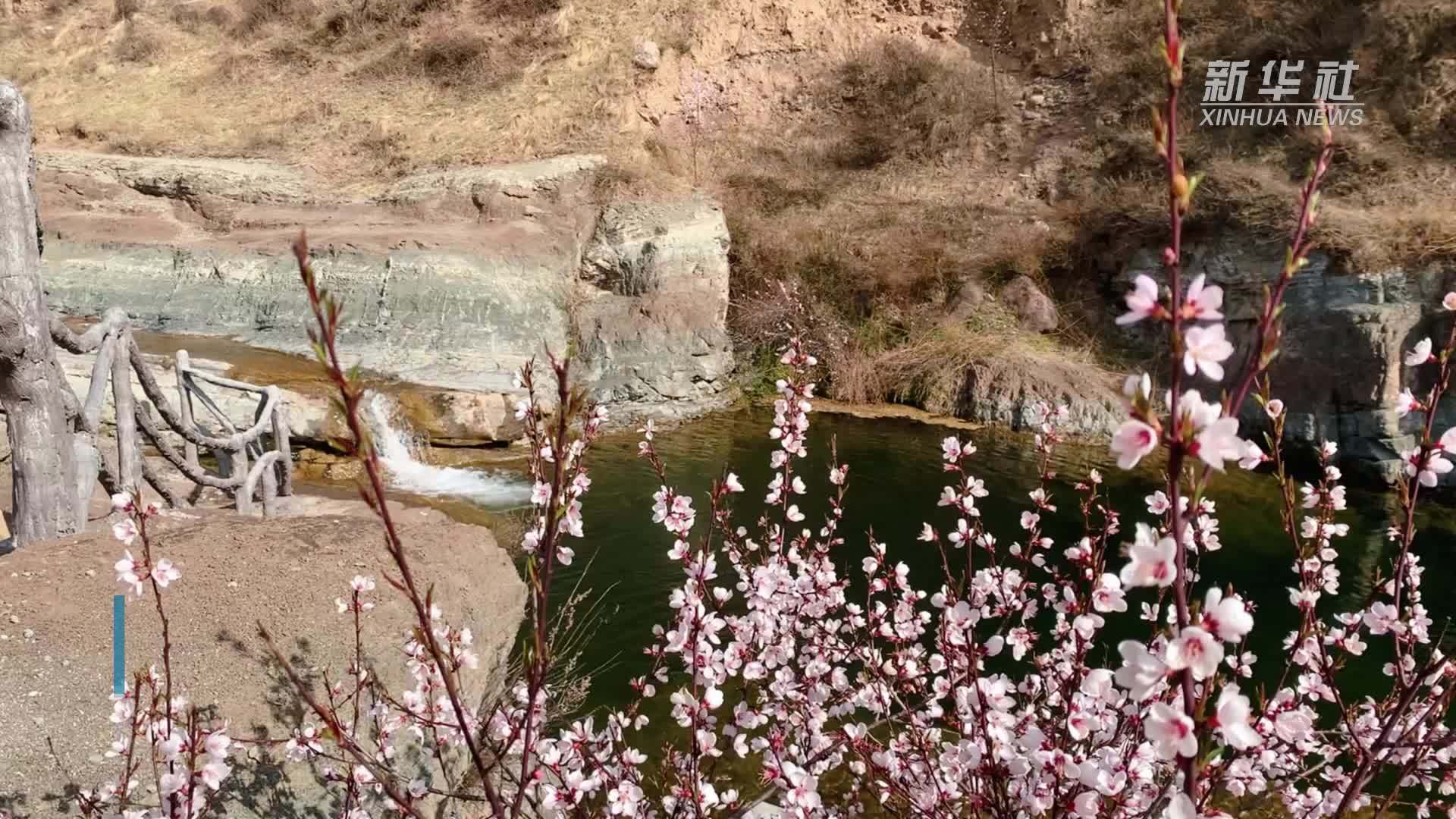 宁夏固原老龙潭景区:山花绽放 景色宜人_凤凰网视频_凤凰网