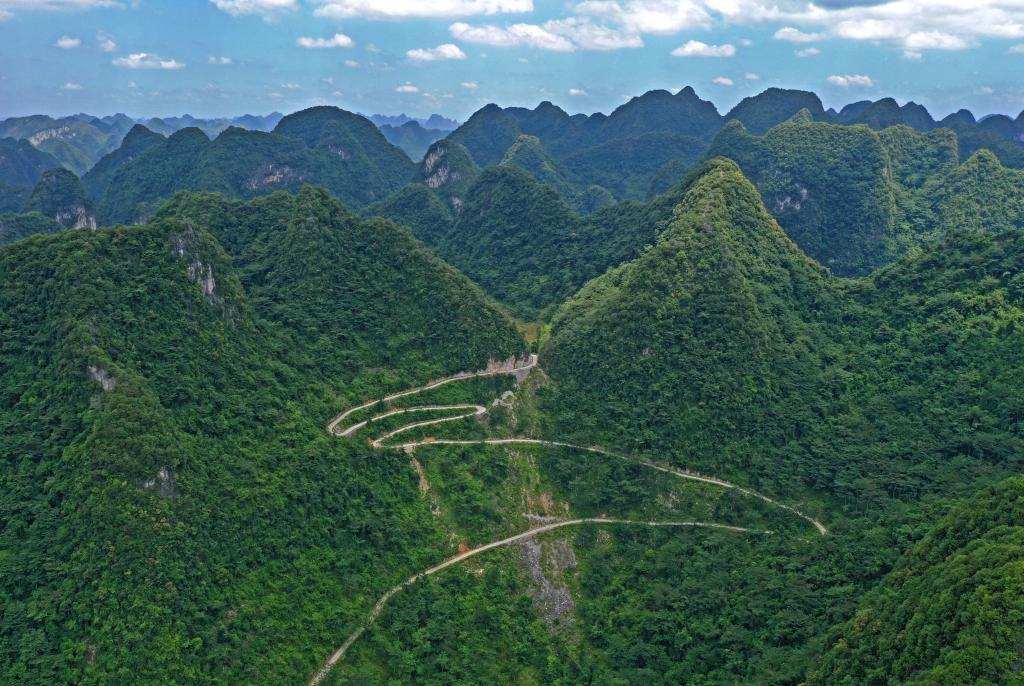 生态修复绘就绿色画卷广西推进石漠化治理一线见闻