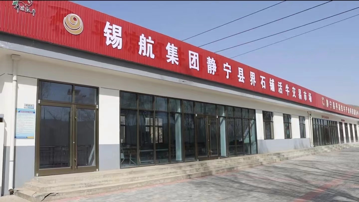 养了牛去哪儿卖?静宁有了活牛交易市场