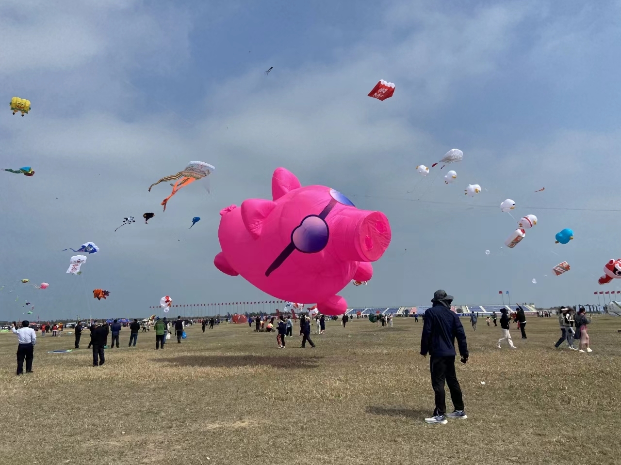 面朝大海 千只风筝争奇斗艳——2024潍坊风筝大赛在潍坊滨海开赛