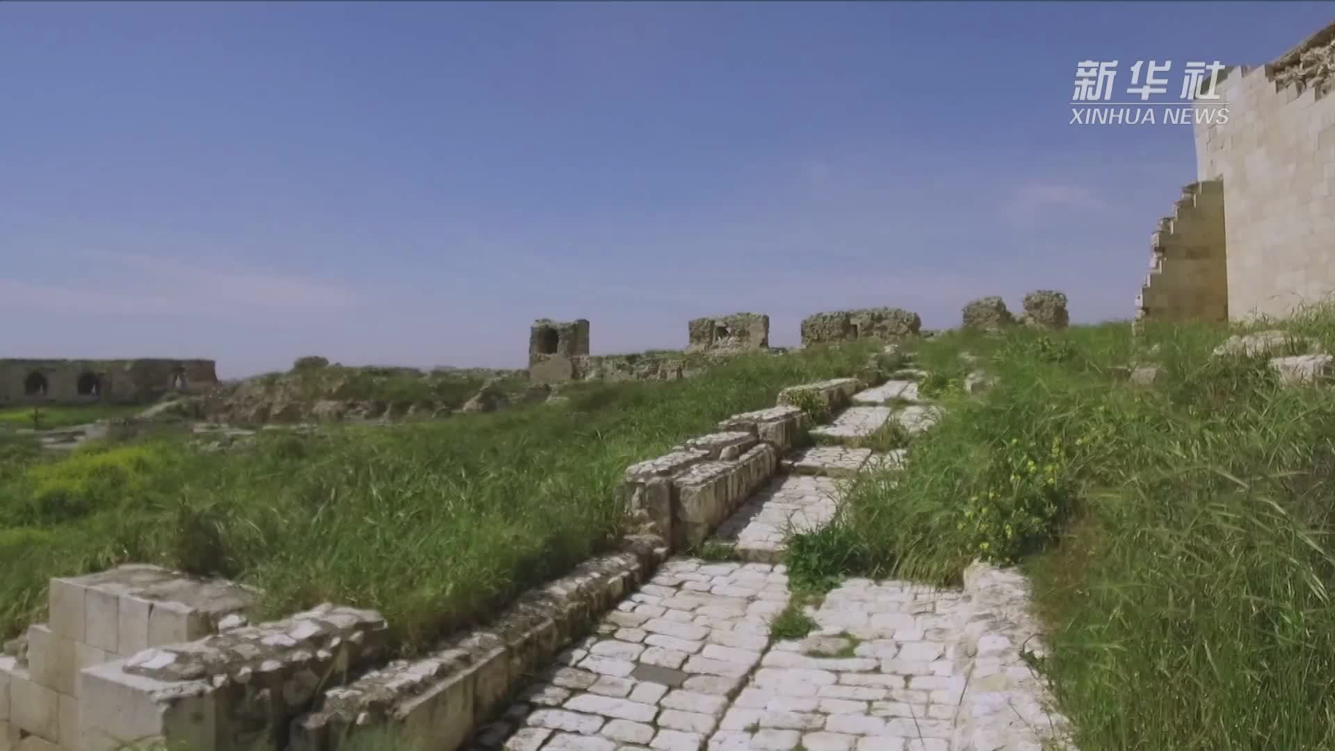 走进中东地区著名历史古迹——阿勒颇城堡