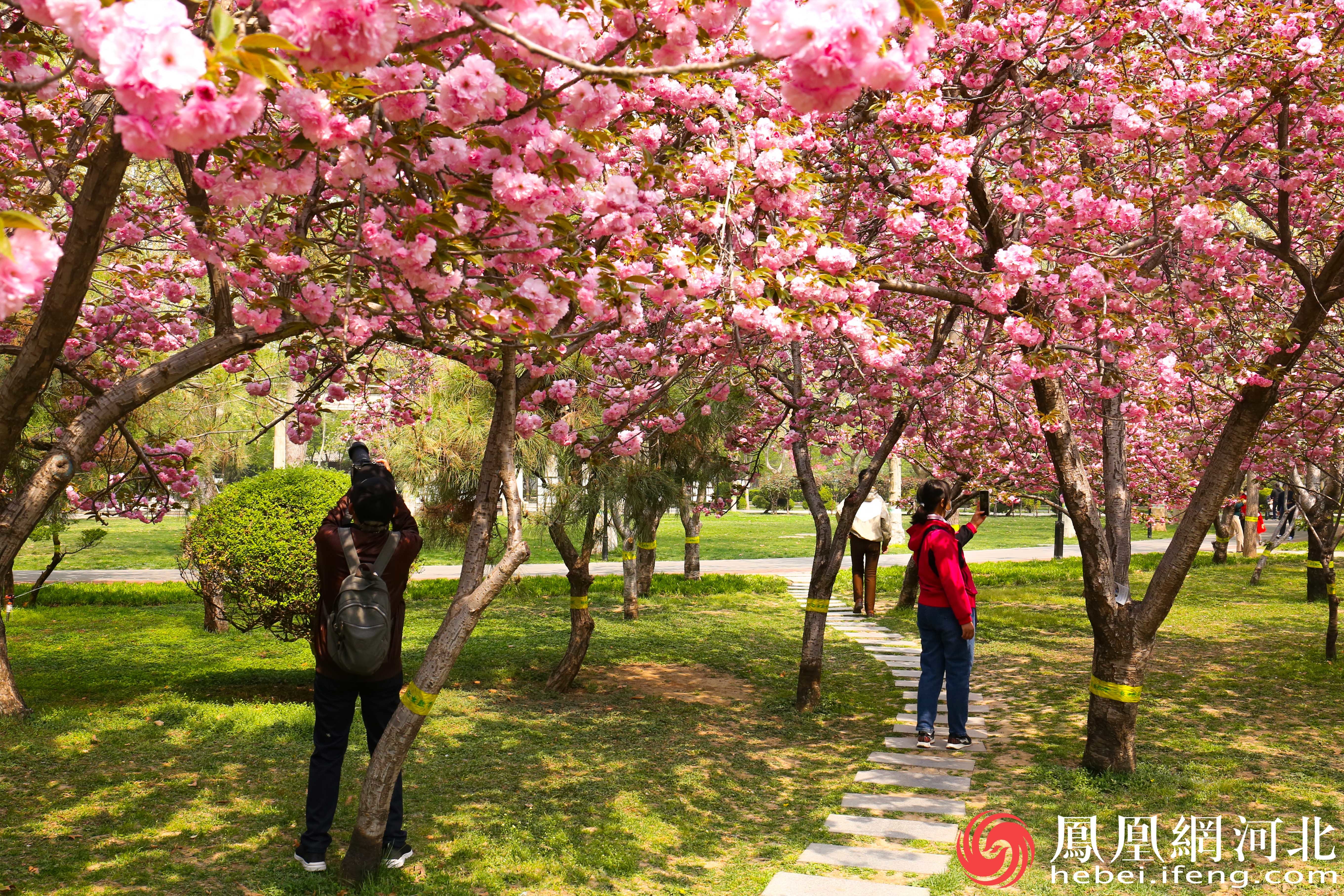 石门公园里市民们拍照记录下这春天的美好。