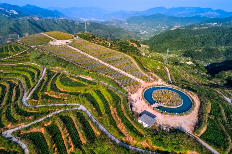 安溪高建发生态茶庄园 图片来源：安溪县融媒体中心
