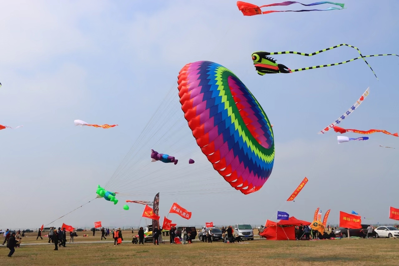 面朝大海 千只风筝争奇斗艳——2024潍坊风筝大赛在潍坊滨海开赛
