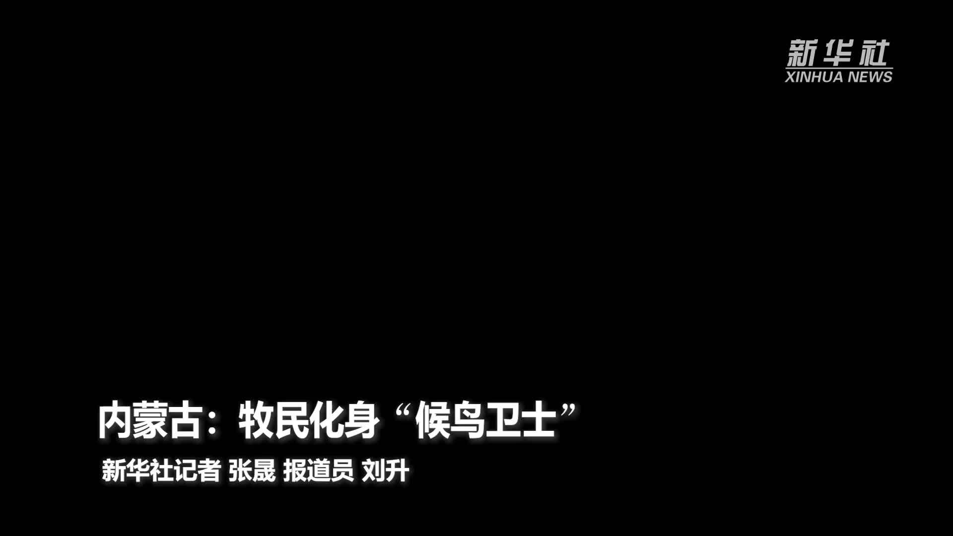 内蒙古：牧民化身“候鸟卫士”