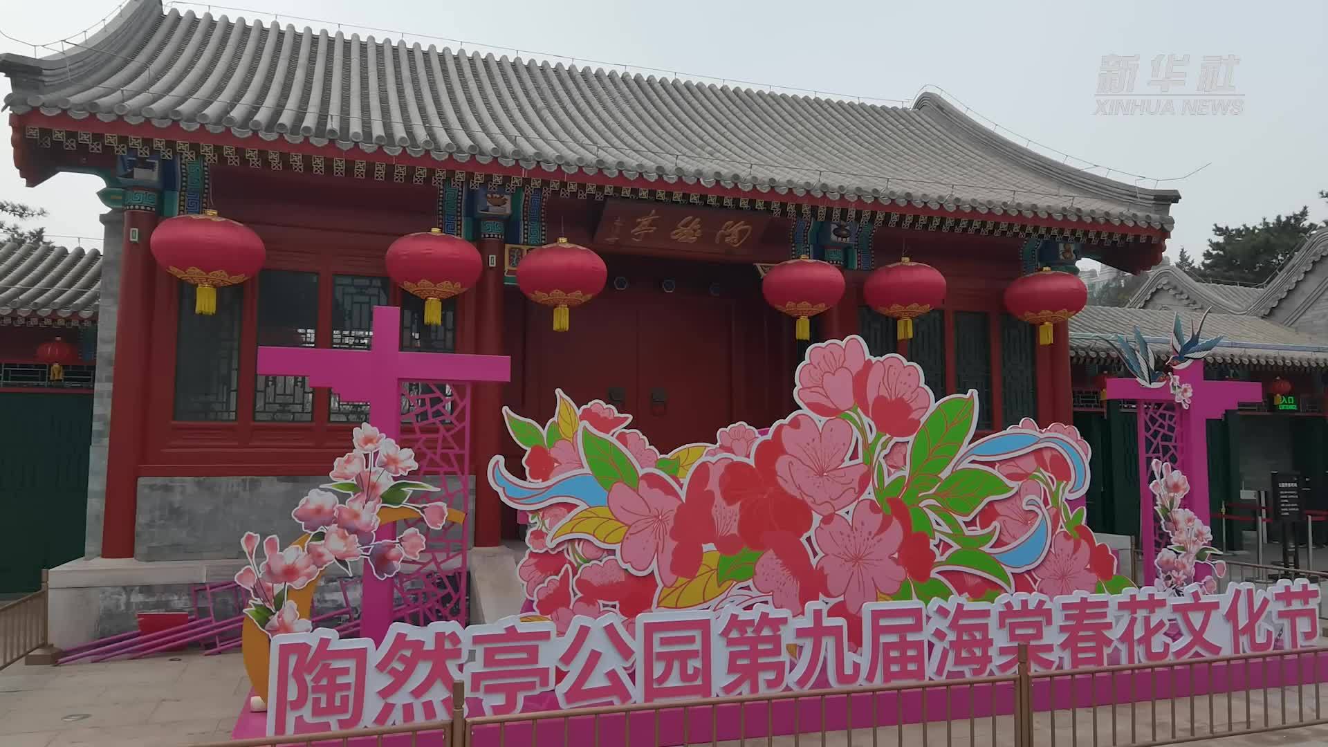 春日游陶然亭 邂逅浪漫海棠花