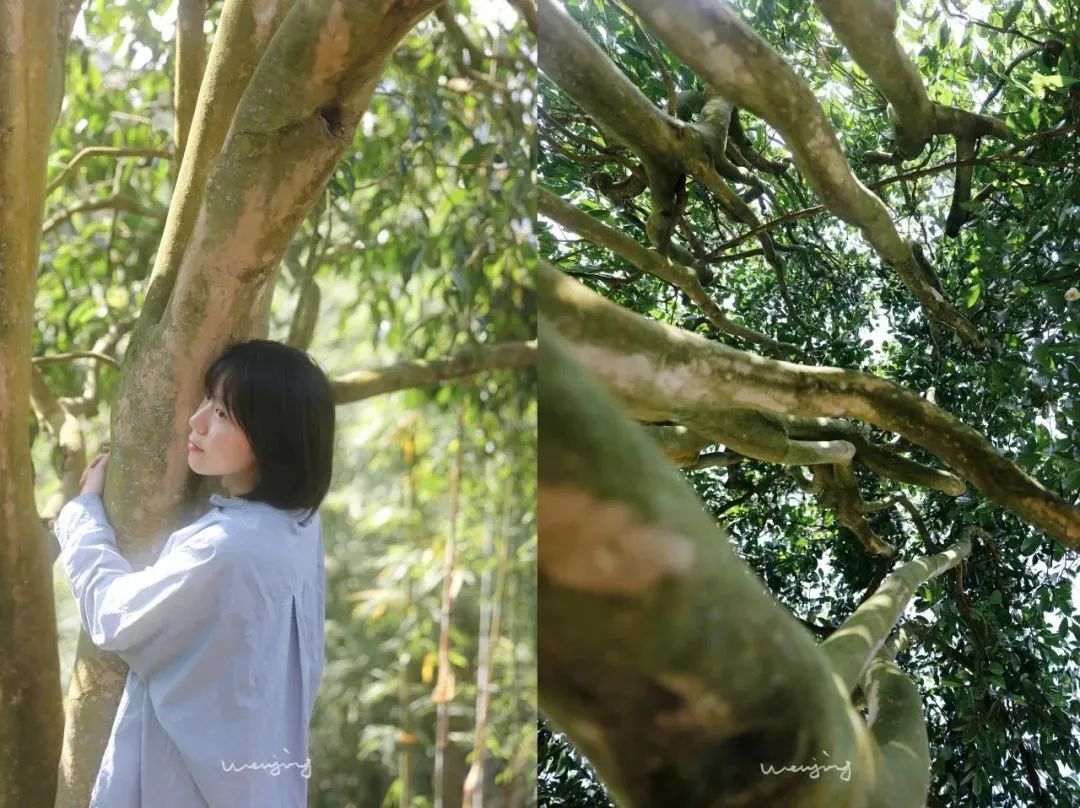 多栖艺术家文静:用一张照片,让人生鲜活|行动者