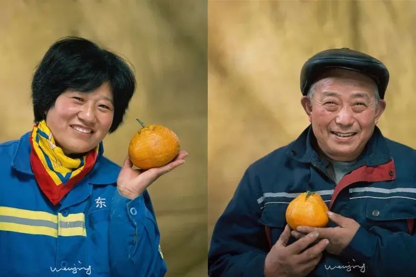 多栖艺术家文静:用一张照片,让人生鲜活|行动者