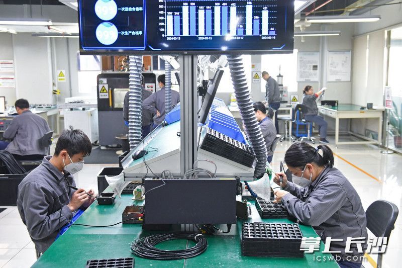 长沙加大企业主体培育力度，全市一季度企业结构性占比达到38.7%。资料图片