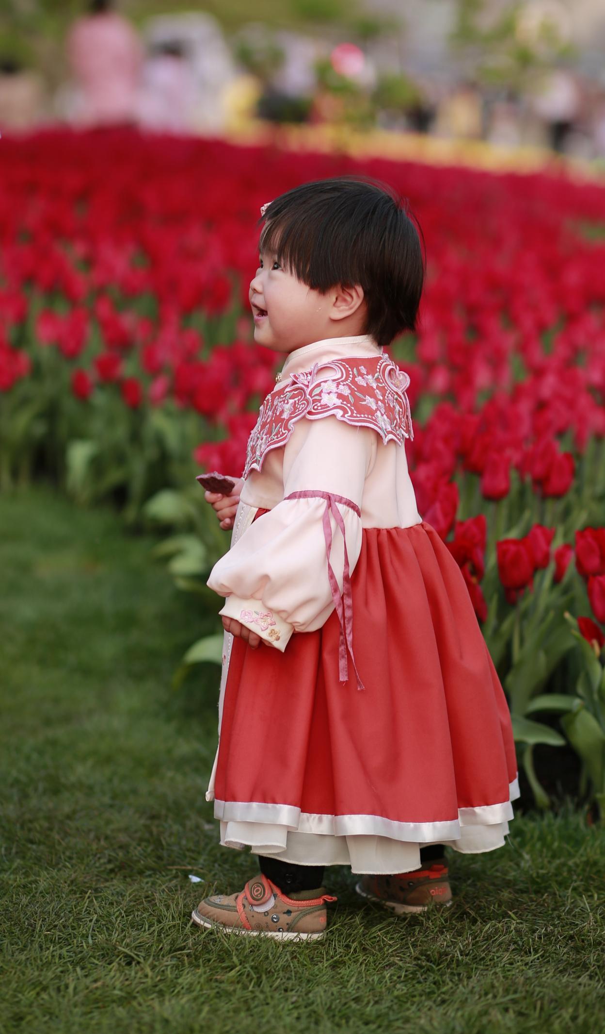 孩童看到远处的郁金香,脸上洋溢着灿烂的微笑。辛崇志 摄