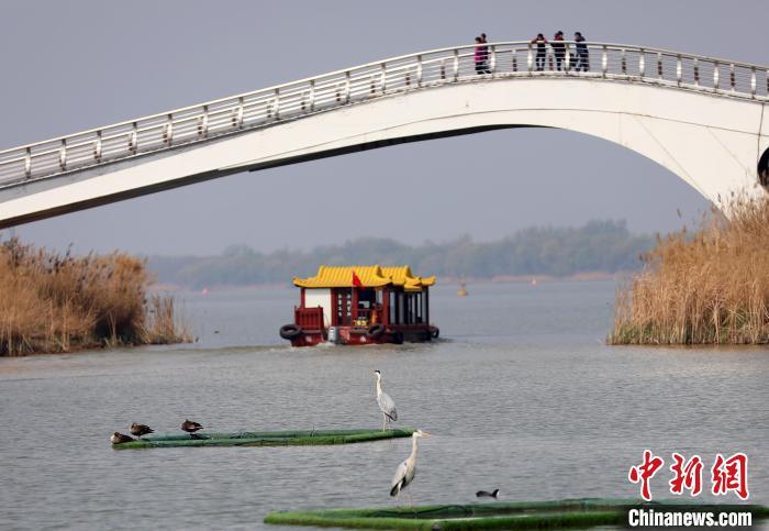 河北省2024年爱鸟周在京津冀最美湿地衡水湖畔启动