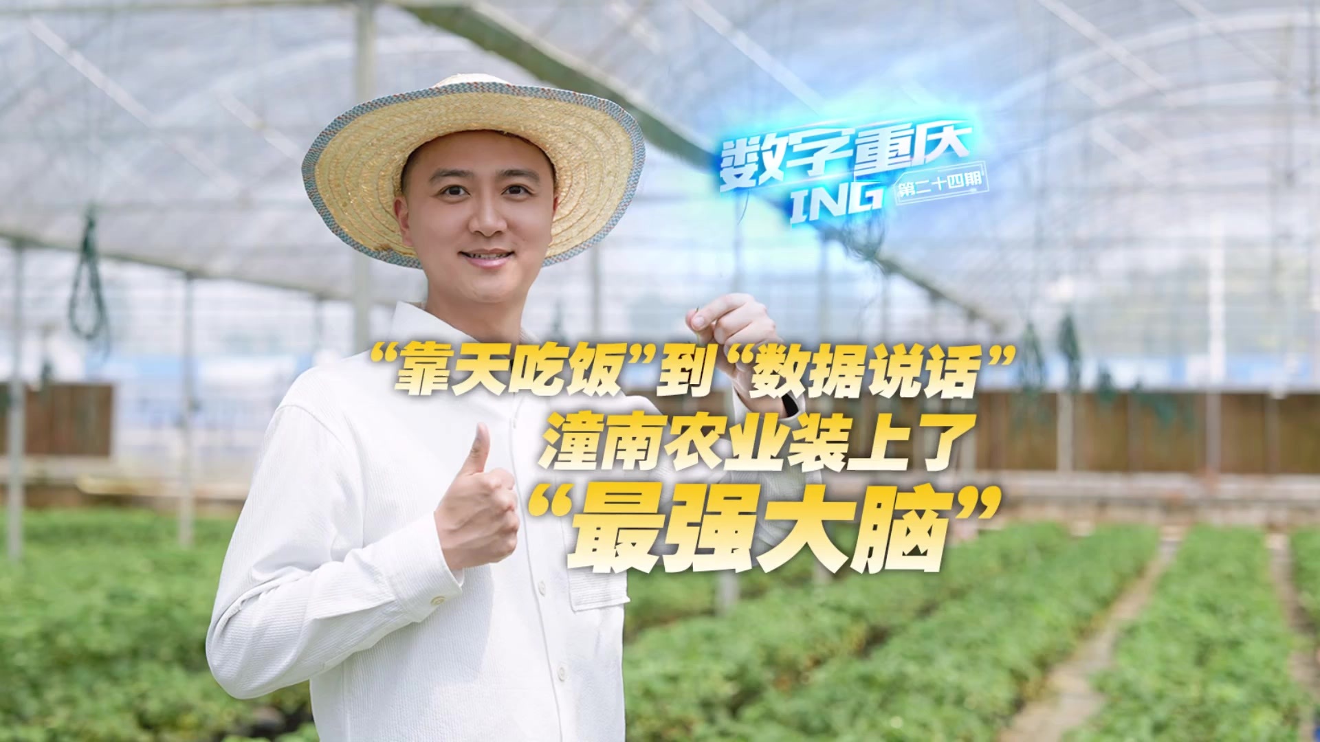 数字重庆ING丨从“靠天吃饭”到“数据说话”，潼南农业装上了“最强大脑”
